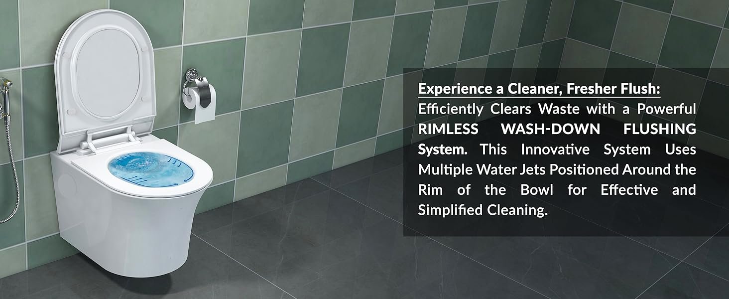 wall mounted commode