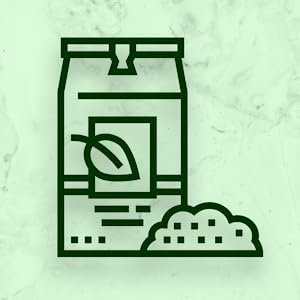 SPN-BFCC Rosemary Dried Leaves