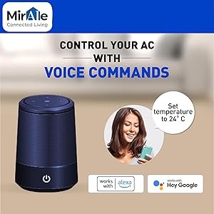 work with Alexa and Google, Voice control