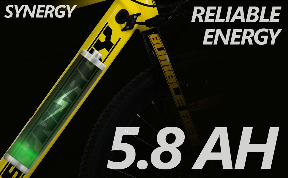 S1 Electric Cycle Dual Disc Brakes 250w BLDC Motor 7.8Ah Li-Ion Battery Throttle LED 95% Charger